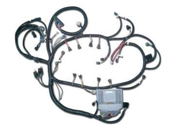 Engine wiring harness