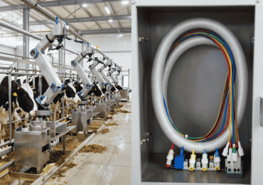 Livestock and Dairy Automation